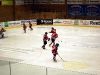 dsc_2037.jpg