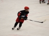 dsc_2138.jpg